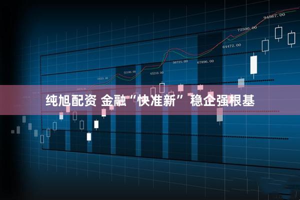 纯旭配资 金融“快准新” 稳企强根基
