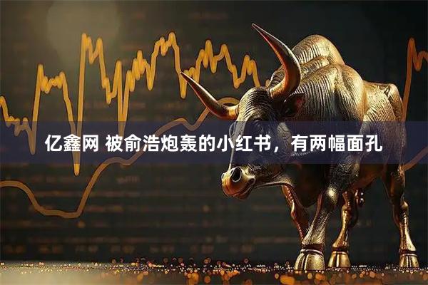 亿鑫网 被俞浩炮轰的小红书，有两幅面孔
